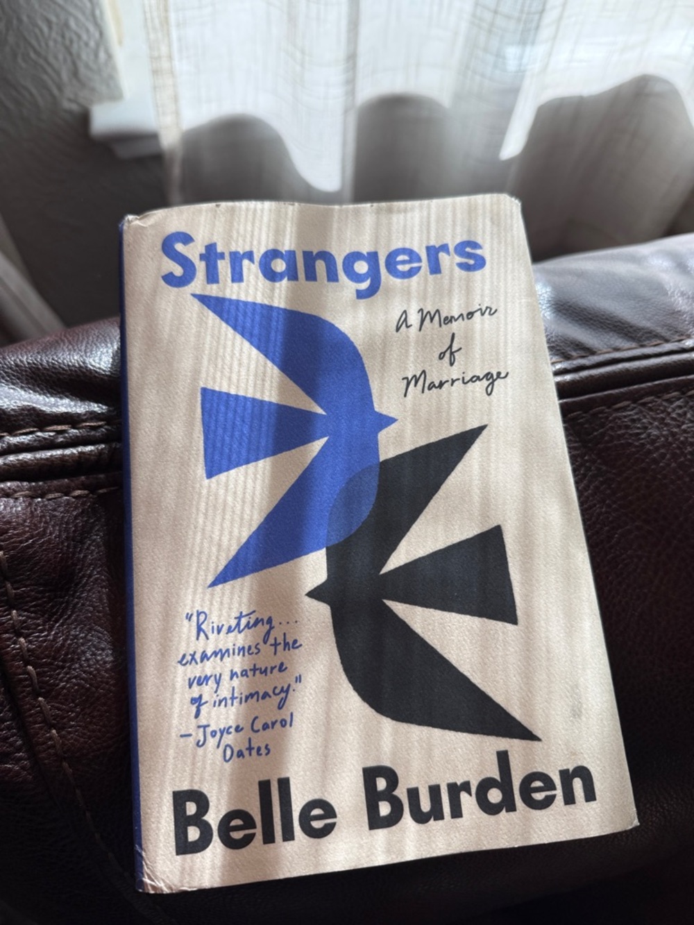 Strangers (Hardcover) by Belle Burden